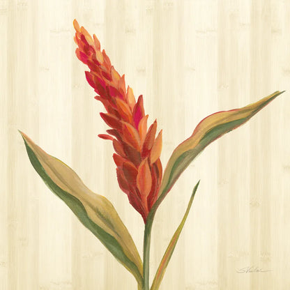 Tropical Garden II by Silvia Vassileva. SKU 66372a. Archival Giclee Fine art print for wall decor.