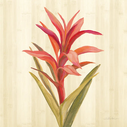 Tropical Garden III by Silvia Vassileva. SKU 66373a. Archival Giclee Fine art print for wall decor.