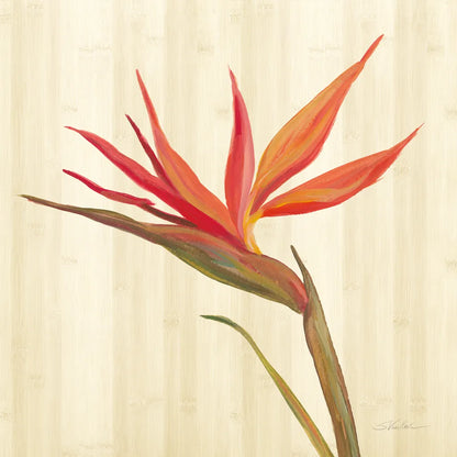 Tropical Garden IV by Silvia Vassileva. SKU 66374a. Archival Giclee Fine art print for wall decor.