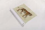 Walking Tiger by Silvia Vassileva. shown as a rolled paper print. Available as archival giclee rolled canvas, fine art paper, or poster print. SKU 56801i.