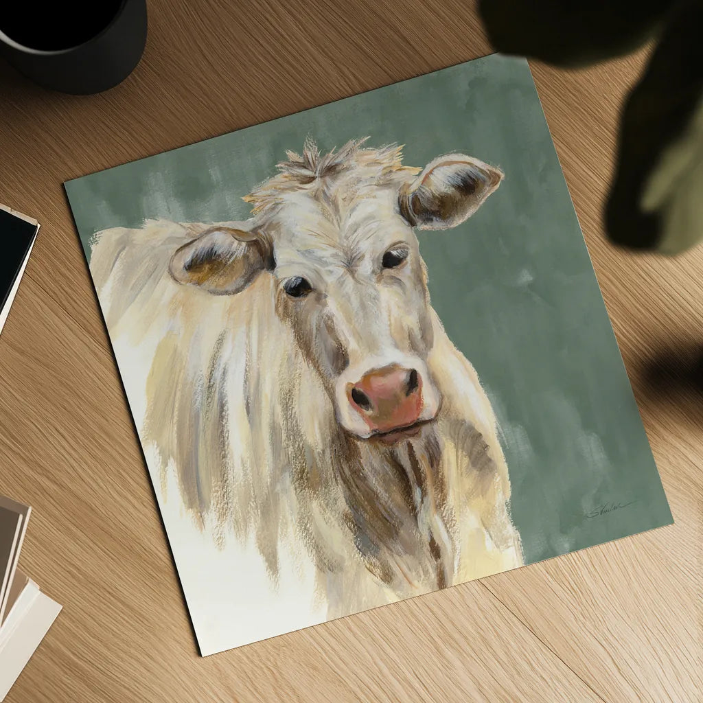 White Cow on Sage by Silvia Vassileva. Shown as a detailed flat fine art print, highlighting archival giclee quality. Available as an archival giclee rolled canvas, fine art paper, or poster print. SKU 70336a.