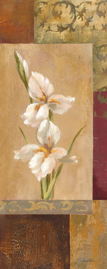 Zen Iris by Silvia Vassileva