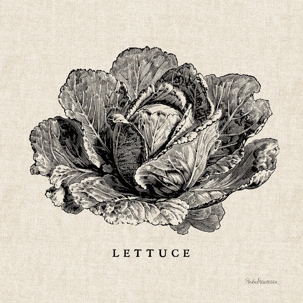 Burlap Vegetable BW Sketch Lettuce by Studio Mousseau. SKU 39347a. Archival Giclee Fine art print for wall decor.