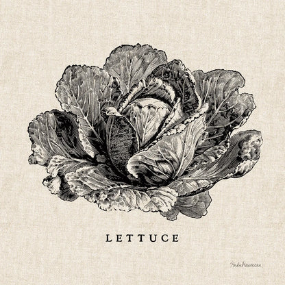 Burlap Vegetable BW Sketch Lettuce by Studio Mousseau. SKU 39347a. Archival Giclee Fine art print for wall decor.
