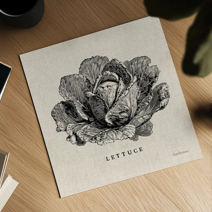 Burlap Vegetable BW Sketch Lettuce by Studio Mousseau. Shown as a detailed flat fine art print, highlighting archival giclee quality. Available as an archival giclee rolled canvas, fine art paper, or poster print. SKU 39347a.
