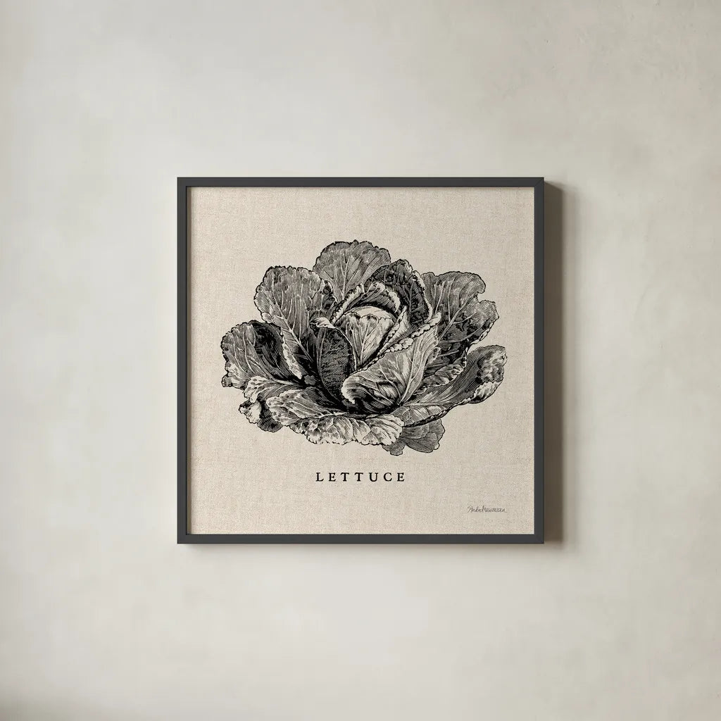 Burlap Vegetable BW Sketch Lettuce by Studio Mousseau. Shown in a sleek black glass frame for a contemporary gallery look. Available as an archival giclee rolled canvas, fine art paper, or poster print. SKU 39347a.