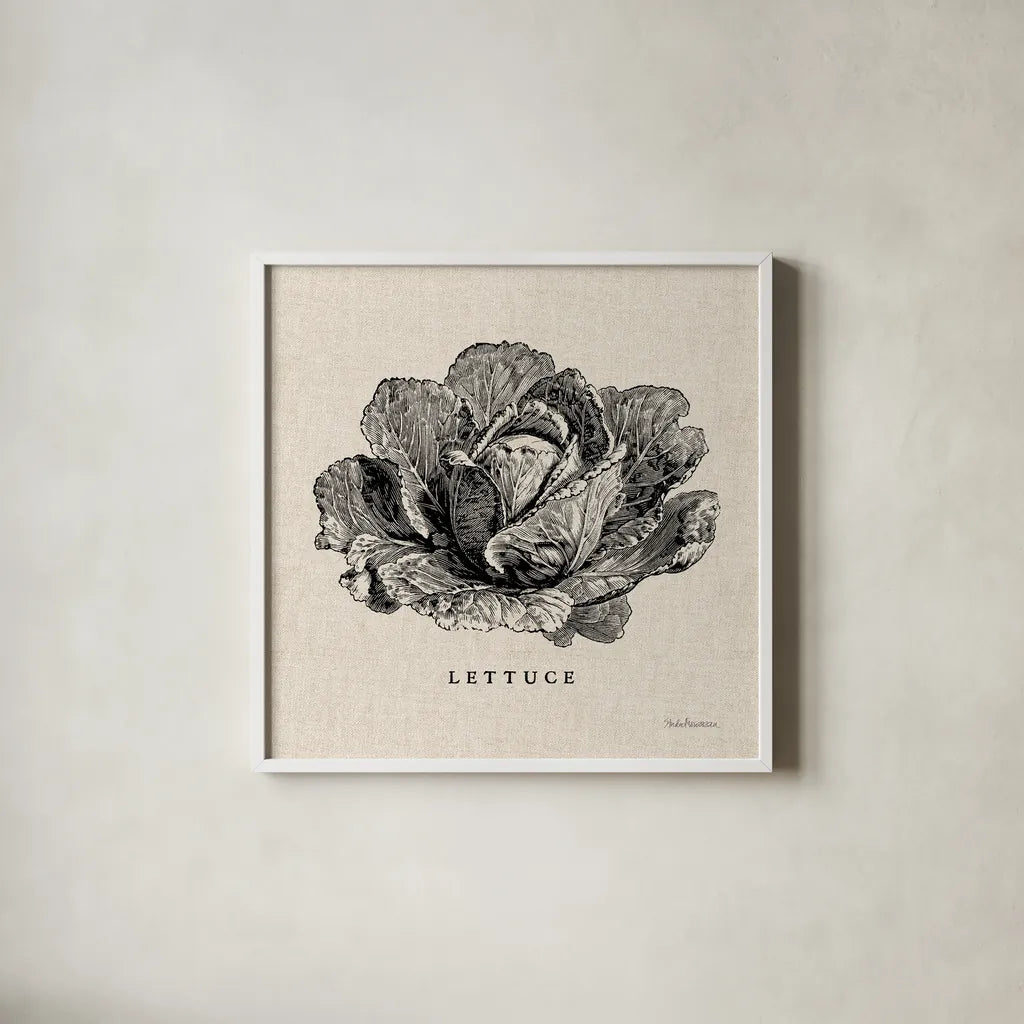 Burlap Vegetable BW Sketch Lettuce by Studio Mousseau. Shown in a crisp white glass frame for a clean and minimalist style. Available as an archival giclee rolled canvas, fine art paper, or poster print. SKU 39347a.