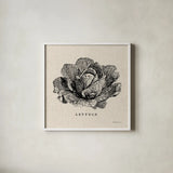 Burlap Vegetable BW Sketch Lettuce by Studio Mousseau. Shown in a crisp white glass frame for a clean and minimalist style. Available as an archival giclee rolled canvas, fine art paper, or poster print. SKU 39347a.