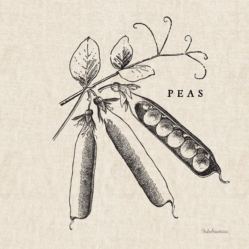 Burlap Vegetable BW Sketch Peas by Studio Mousseau. SKU 39353a. Archival Giclee Fine art print for wall decor.