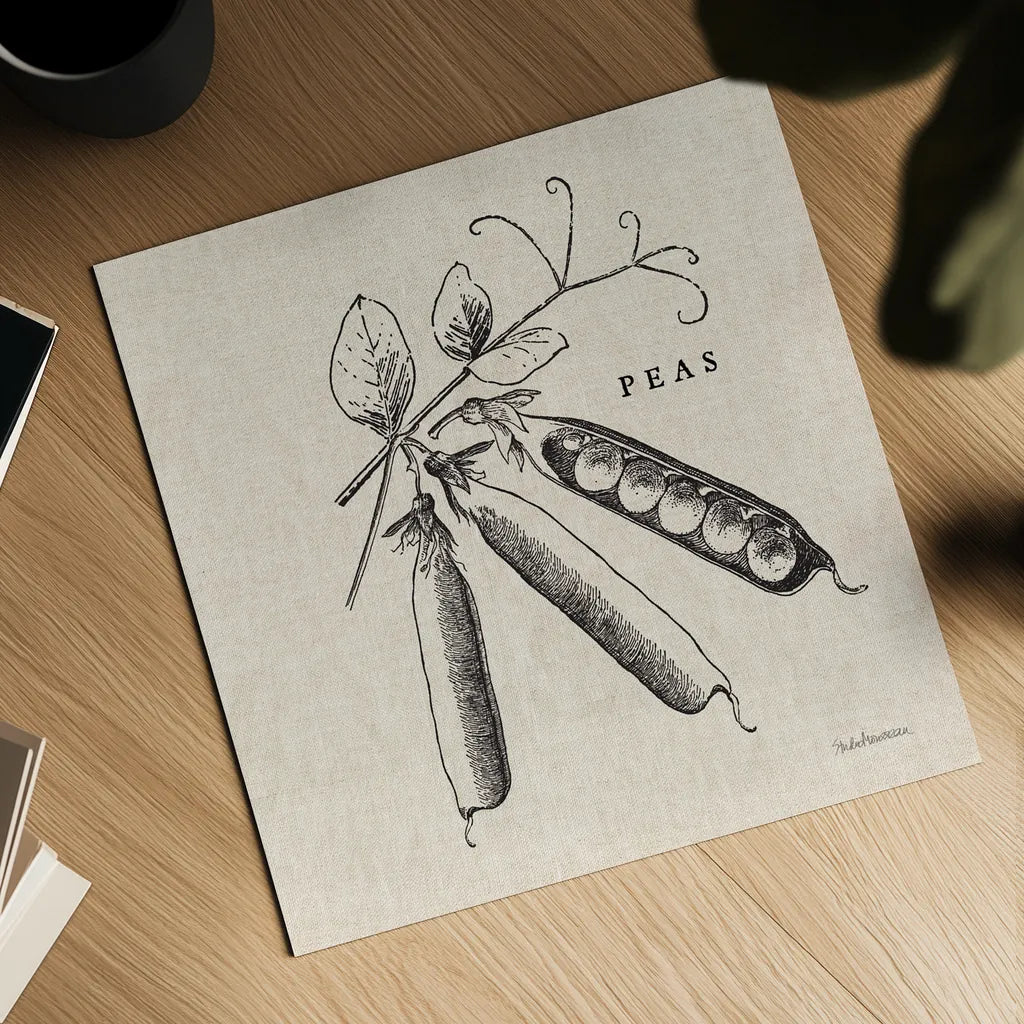 Burlap Vegetable BW Sketch Peas by Studio Mousseau. Shown as a detailed flat fine art print, highlighting archival giclee quality. Available as an archival giclee rolled canvas, fine art paper, or poster print. SKU 39353a.