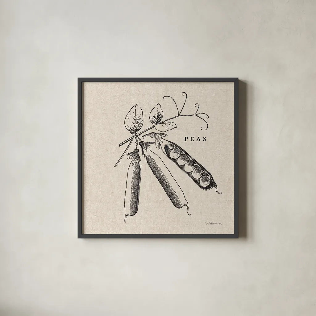Burlap Vegetable BW Sketch Peas by Studio Mousseau. Shown in a sleek black glass frame for a contemporary gallery look. Available as an archival giclee rolled canvas, fine art paper, or poster print. SKU 39353a.