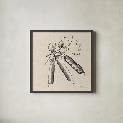 Burlap Vegetable BW Sketch Peas by Studio Mousseau. Shown in a sleek black glass frame for a contemporary gallery look. Available as an archival giclee rolled canvas, fine art paper, or poster print. SKU 39353a.
