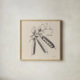 Burlap Vegetable BW Sketch Peas by Studio Mousseau. Shown in a natural wood glass frame for a timeless modern aesthetic. Available as an archival giclee rolled canvas, fine art paper, or poster print. SKU 39353a.