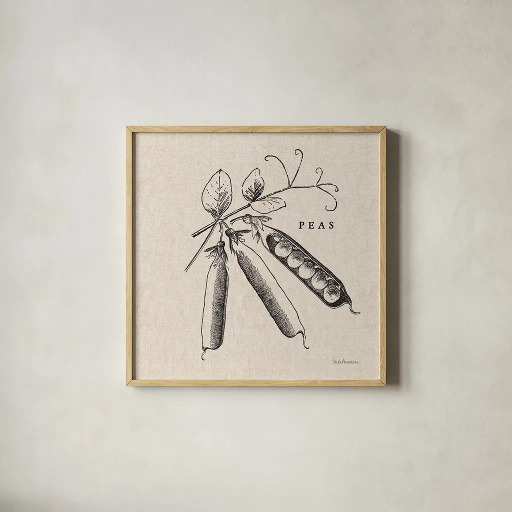 Burlap Vegetable BW Sketch Peas by Studio Mousseau. Shown in a natural wood glass frame for a timeless modern aesthetic. Available as an archival giclee rolled canvas, fine art paper, or poster print. SKU 39353a.