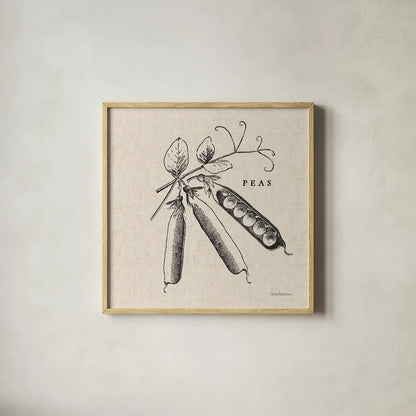 Burlap Vegetable BW Sketch Peas by Studio Mousseau. Shown in a natural wood glass frame for a timeless modern aesthetic. Available as an archival giclee rolled canvas, fine art paper, or poster print. SKU 39353a.