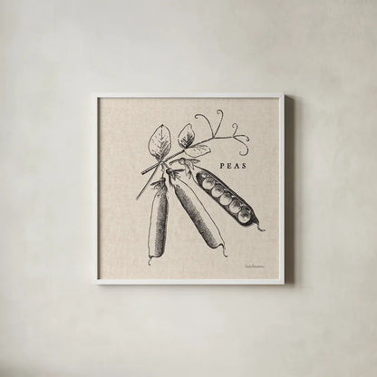 Burlap Vegetable BW Sketch Peas by Studio Mousseau. Shown in a crisp white glass frame for a clean and minimalist style. Available as an archival giclee rolled canvas, fine art paper, or poster print. SKU 39353a.