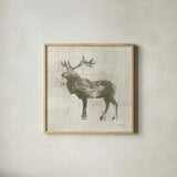 Cabin Elk Study by Studio Mousseau. Shown in a natural wood glass frame for a timeless modern aesthetic. Available as an archival giclee rolled canvas, fine art paper, or poster print. SKU 85456a.