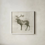 Cabin Elk Study by Studio Mousseau. Shown in a crisp white glass frame for a clean and minimalist style. Available as an archival giclee rolled canvas, fine art paper, or poster print. SKU 85456a.