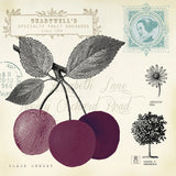 Cherry Notes by Studio Mousseau. SKU 10741a. Archival Giclee Fine art print for wall decor.