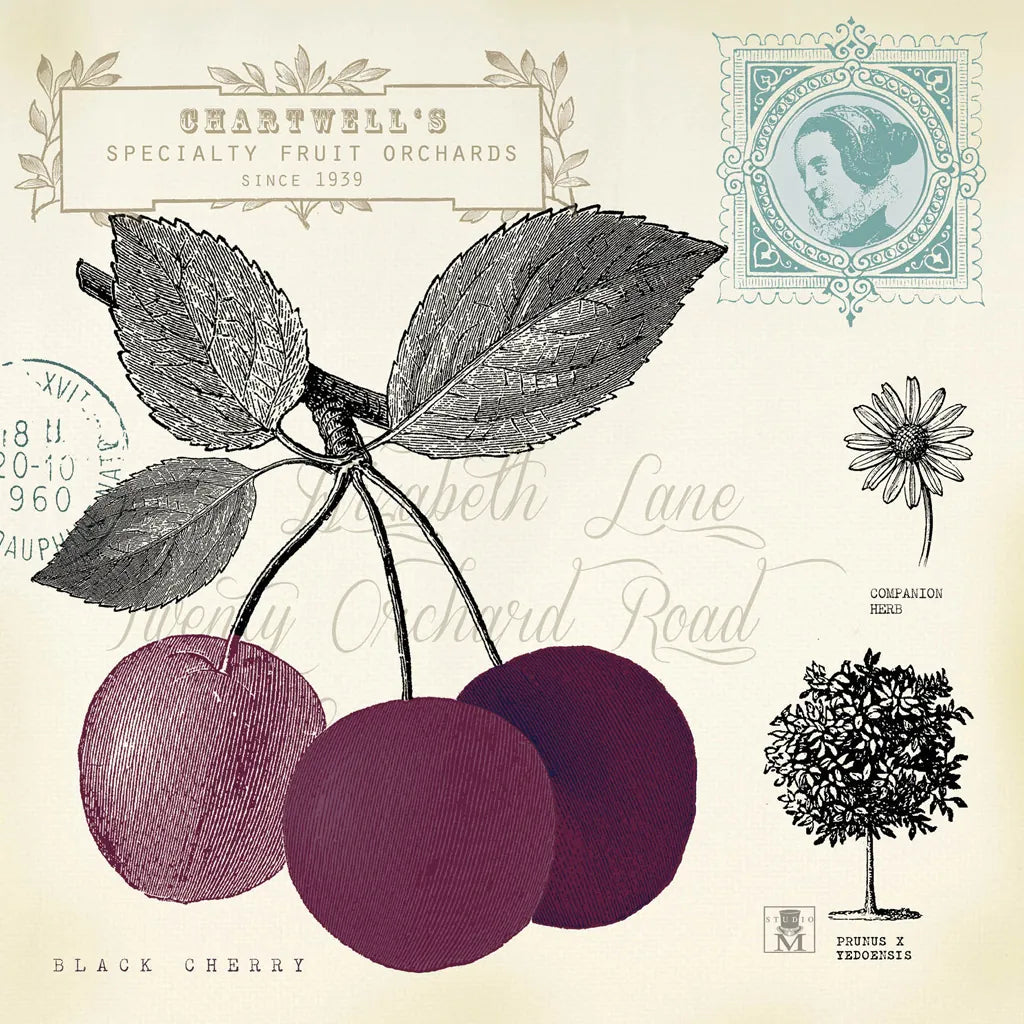 Cherry Notes by Studio Mousseau. SKU 10741a. Archival Giclee Fine art print for wall decor.