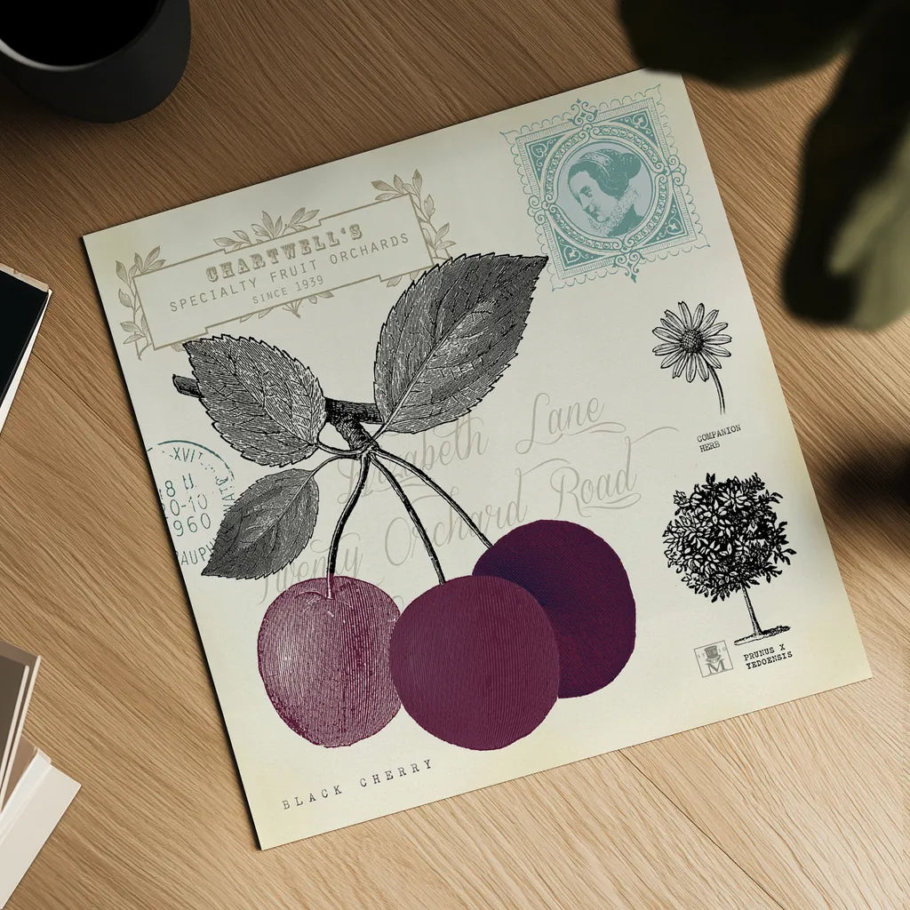 Cherry Notes by Studio Mousseau. Shown as a detailed flat fine art print, highlighting archival giclee quality. Available as an archival giclee rolled canvas, fine art paper, or poster print. SKU 10741a.