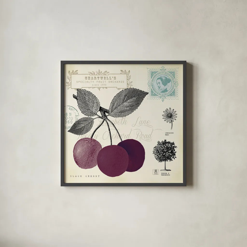 Cherry Notes by Studio Mousseau. Shown in a sleek black glass frame for a contemporary gallery look. Available as an archival giclee rolled canvas, fine art paper, or poster print. SKU 10741a.