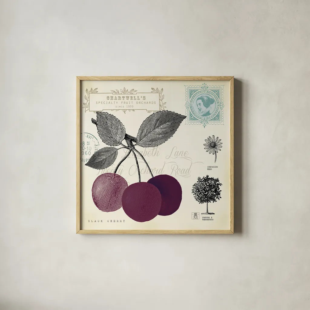 Cherry Notes by Studio Mousseau. Shown in a natural wood glass frame for a timeless modern aesthetic. Available as an archival giclee rolled canvas, fine art paper, or poster print. SKU 10741a.