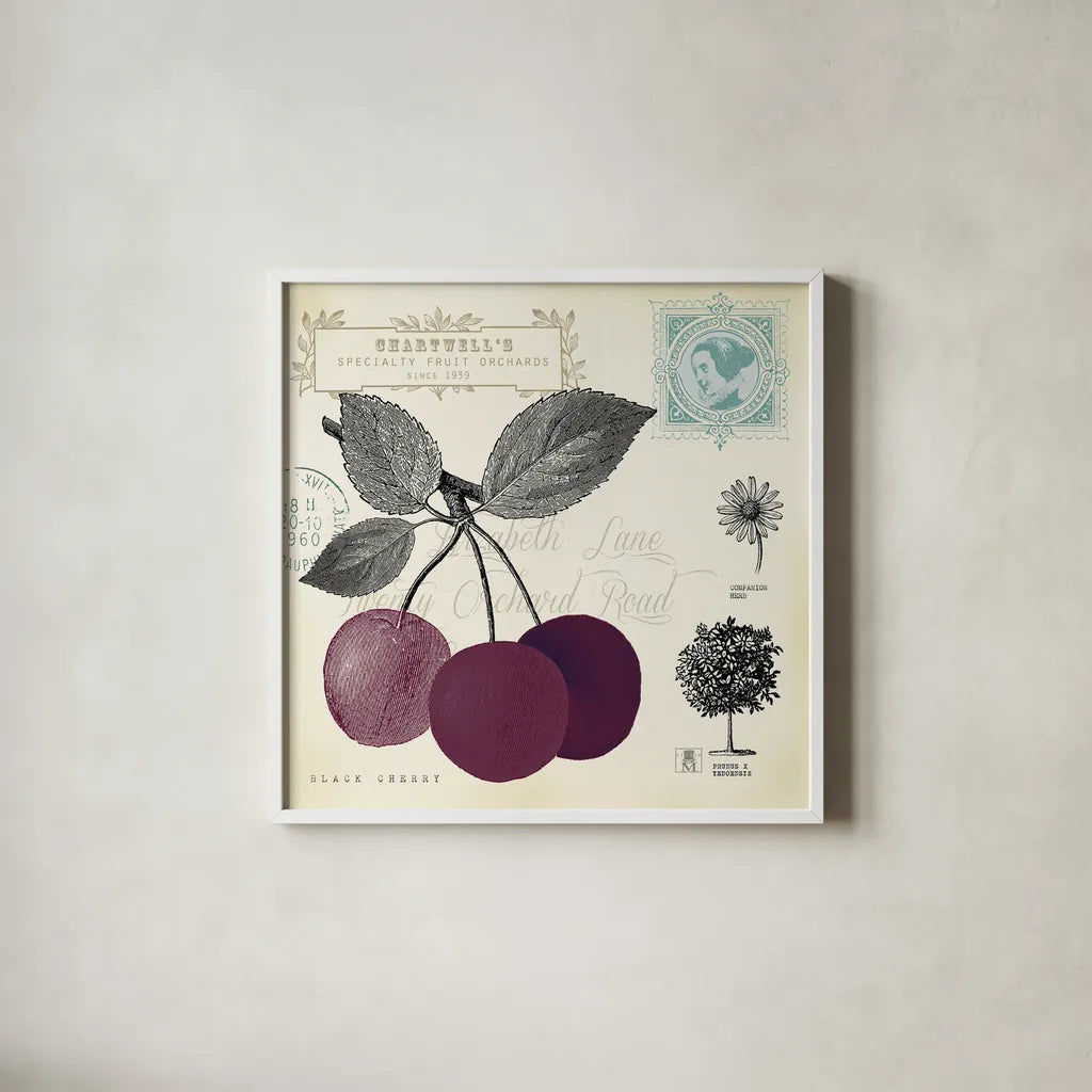 Cherry Notes by Studio Mousseau. Shown in a crisp white glass frame for a clean and minimalist style. Available as an archival giclee rolled canvas, fine art paper, or poster print. SKU 10741a.