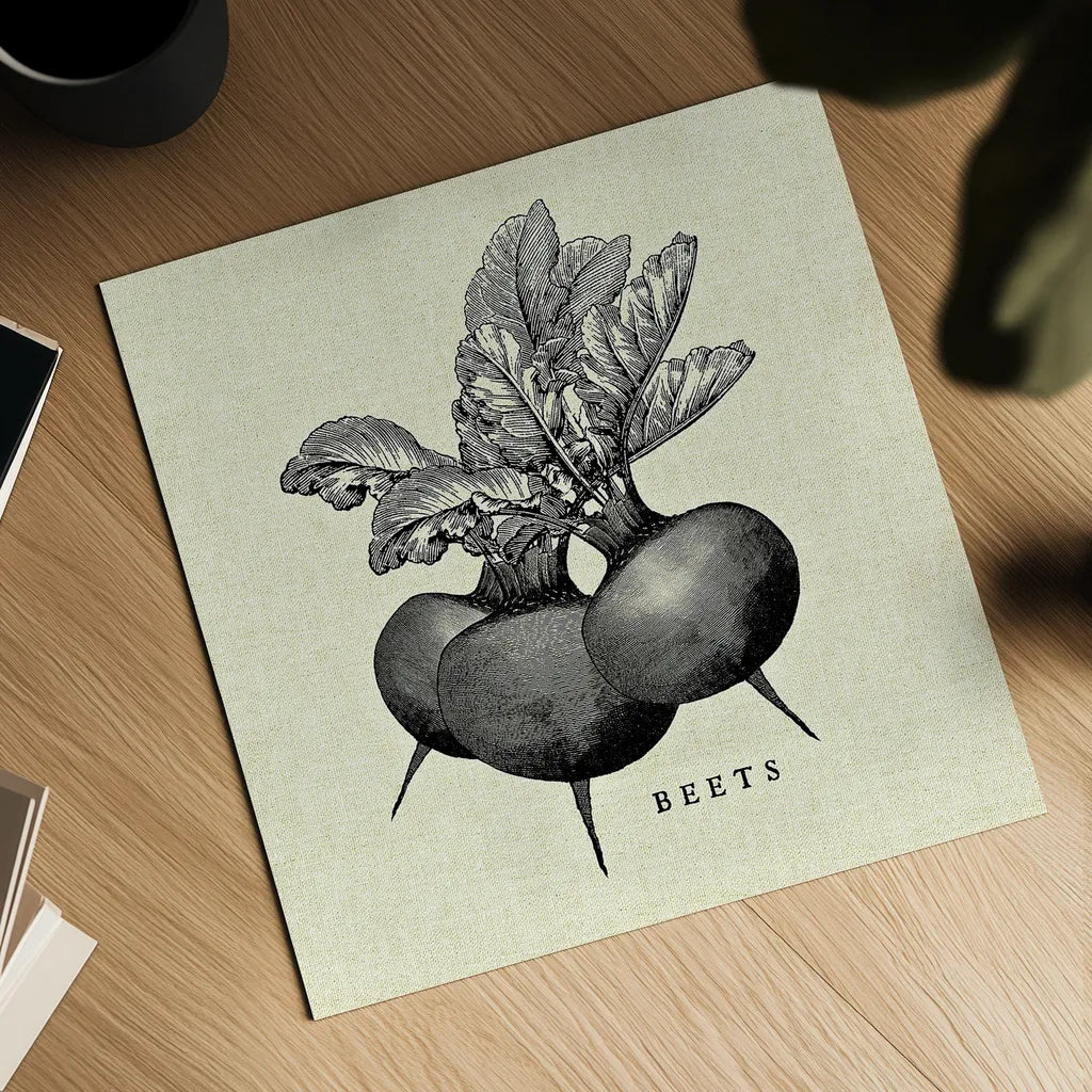 Linen Vegetable BW Sketch Beets by Studio Mousseau. Shown as a detailed flat fine art print, highlighting archival giclee quality. Available as an archival giclee rolled canvas, fine art paper, or poster print. SKU 30526a.