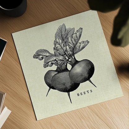 Linen Vegetable BW Sketch Beets by Studio Mousseau. Shown as a detailed flat fine art print, highlighting archival giclee quality. Available as an archival giclee rolled canvas, fine art paper, or poster print. SKU 30526a.