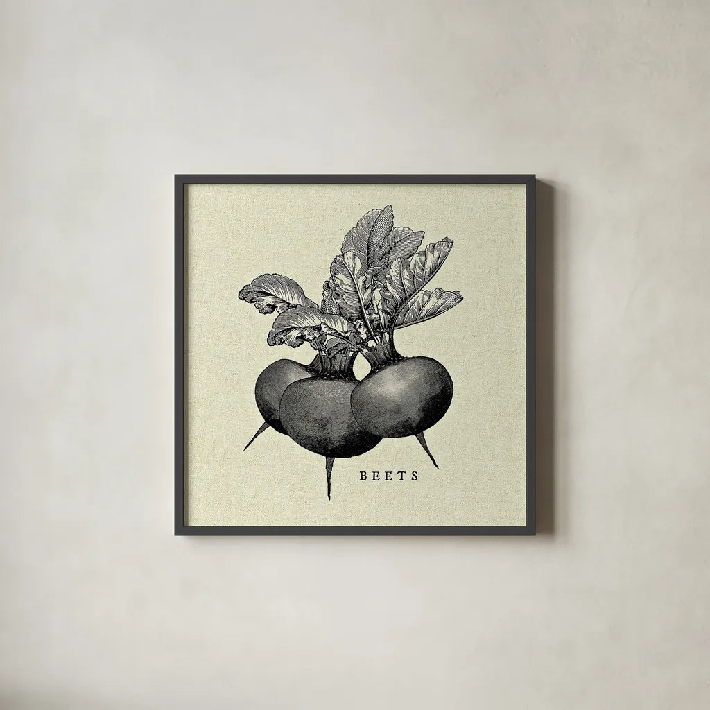 Linen Vegetable BW Sketch Beets by Studio Mousseau. Shown in a sleek black glass frame for a contemporary gallery look. Available as an archival giclee rolled canvas, fine art paper, or poster print. SKU 30526a.