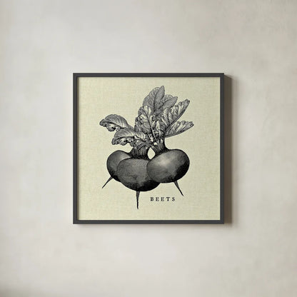 Linen Vegetable BW Sketch Beets by Studio Mousseau. Shown in a sleek black glass frame for a contemporary gallery look. Available as an archival giclee rolled canvas, fine art paper, or poster print. SKU 30526a.
