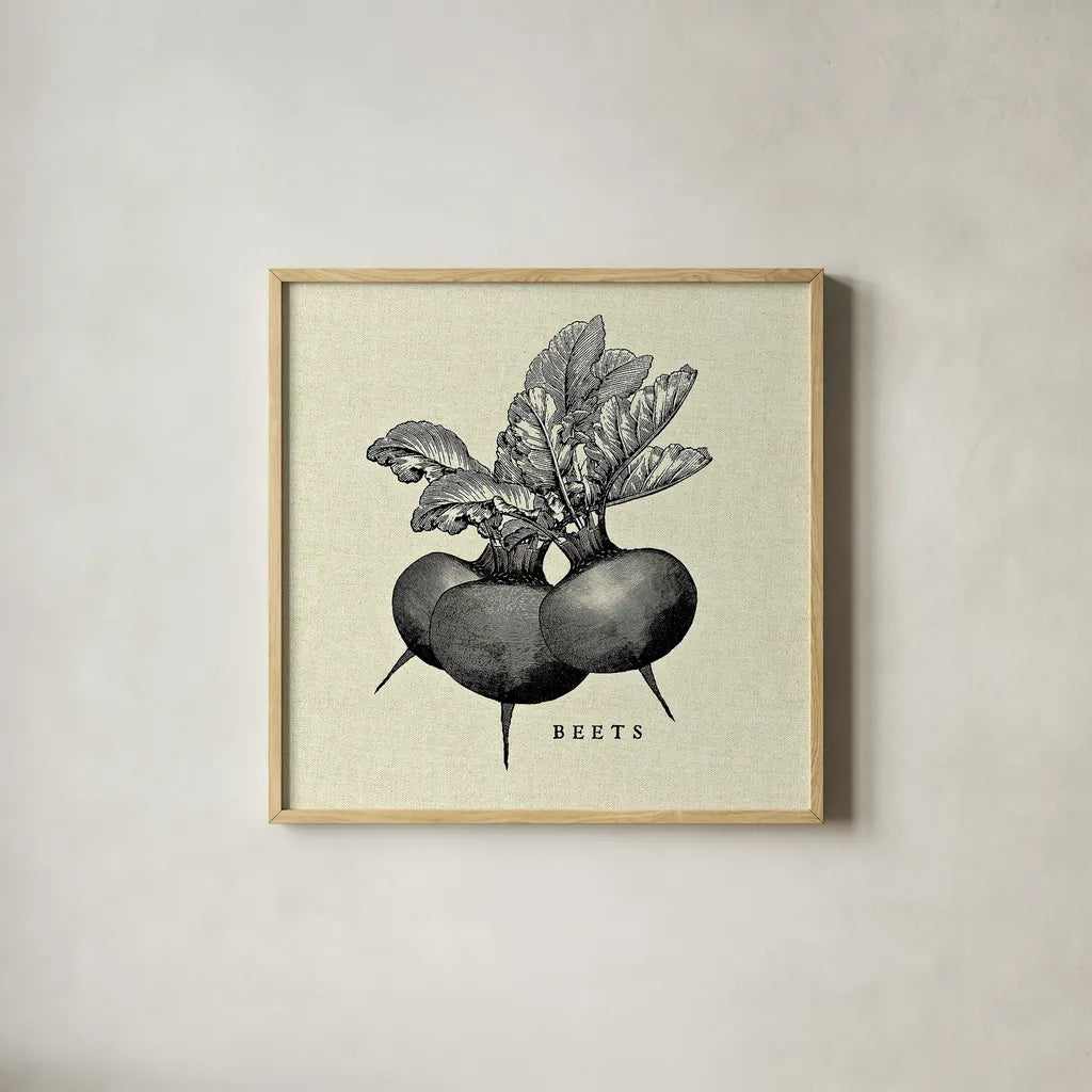 Linen Vegetable BW Sketch Beets by Studio Mousseau. Shown in a natural wood glass frame for a timeless modern aesthetic. Available as an archival giclee rolled canvas, fine art paper, or poster print. SKU 30526a.