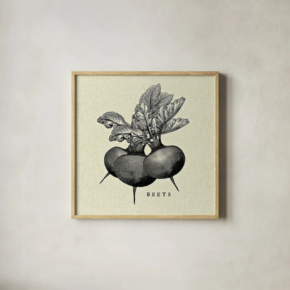 Linen Vegetable BW Sketch Beets by Studio Mousseau. Shown in a natural wood glass frame for a timeless modern aesthetic. Available as an archival giclee rolled canvas, fine art paper, or poster print. SKU 30526a.