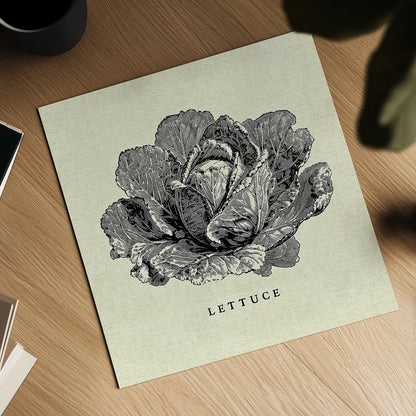Linen Vegetable BW Sketch Lettuce by Studio Mousseau. Shown as a detailed flat fine art print, highlighting archival giclee quality. Available as an archival giclee rolled canvas, fine art paper, or poster print. SKU 30527a.