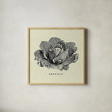 Linen Vegetable BW Sketch Lettuce by Studio Mousseau. Shown in a natural wood glass frame for a timeless modern aesthetic. Available as an archival giclee rolled canvas, fine art paper, or poster print. SKU 30527a.