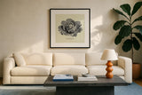 Linen Vegetable BW Sketch Lettuce by Studio Mousseau. Displayed in a glass frame with matte in a clean modern living room. Available as an archival giclee rolled canvas, fine art paper, or poster print. SKU 30527a.