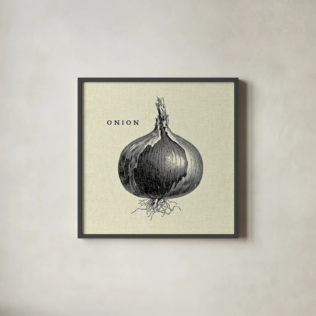 Linen Vegetable BW Sketch Onion by Studio Mousseau. Shown in a sleek black glass frame for a contemporary gallery look. Available as an archival giclee rolled canvas, fine art paper, or poster print. SKU 30528a.