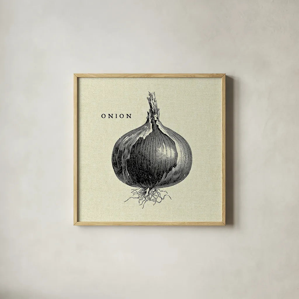 Linen Vegetable BW Sketch Onion by Studio Mousseau. Shown in a natural wood glass frame for a timeless modern aesthetic. Available as an archival giclee rolled canvas, fine art paper, or poster print. SKU 30528a.