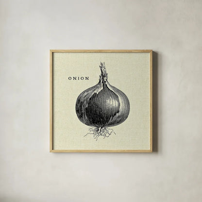 Linen Vegetable BW Sketch Onion by Studio Mousseau. Shown in a natural wood glass frame for a timeless modern aesthetic. Available as an archival giclee rolled canvas, fine art paper, or poster print. SKU 30528a.