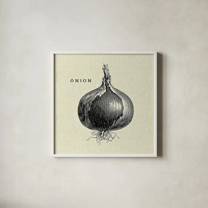 Linen Vegetable BW Sketch Onion by Studio Mousseau. Shown in a crisp white glass frame for a clean and minimalist style. Available as an archival giclee rolled canvas, fine art paper, or poster print. SKU 30528a.