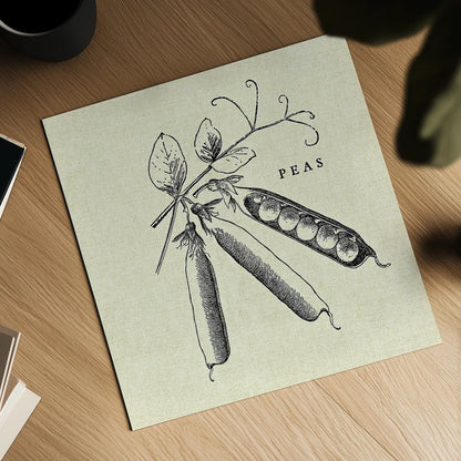 Linen Vegetable BW Sketch Peas by Studio Mousseau. Shown as a detailed flat fine art print, highlighting archival giclee quality. Available as an archival giclee rolled canvas, fine art paper, or poster print. SKU 30529a.