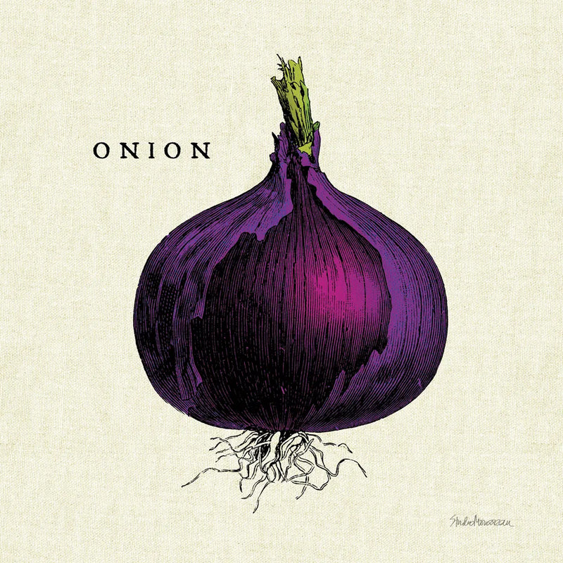 Linen Vegetable III v2 by Studio Mousseau. SKU 39375a. Archival Giclee Fine art print for wall decor.