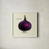 Linen Vegetable III v2 by Studio Mousseau. Shown in a crisp white glass frame for a clean and minimalist style. Available as an archival giclee rolled canvas, fine art paper, or poster print. SKU 39375a.