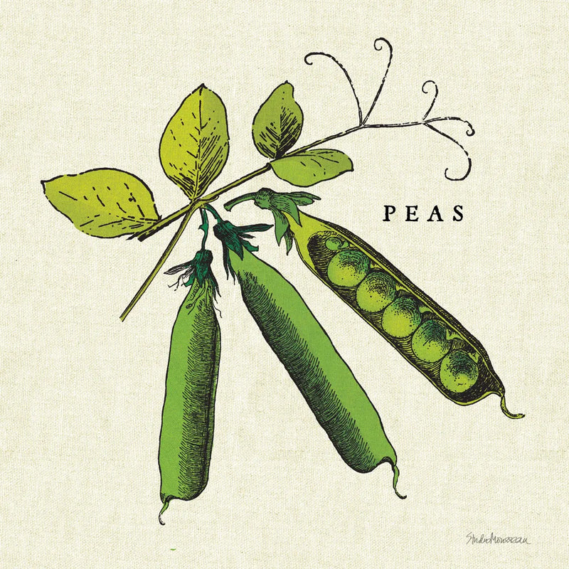 Linen Vegetable IV v2 by Studio Mousseau. SKU 39376a. Archival Giclee Fine art print for wall decor.