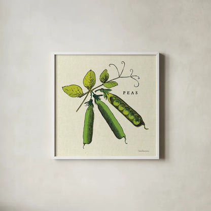Linen Vegetable IV v2 by Studio Mousseau. Shown in a crisp white glass frame for a clean and minimalist style. Available as an archival giclee rolled canvas, fine art paper, or poster print. SKU 39376a.