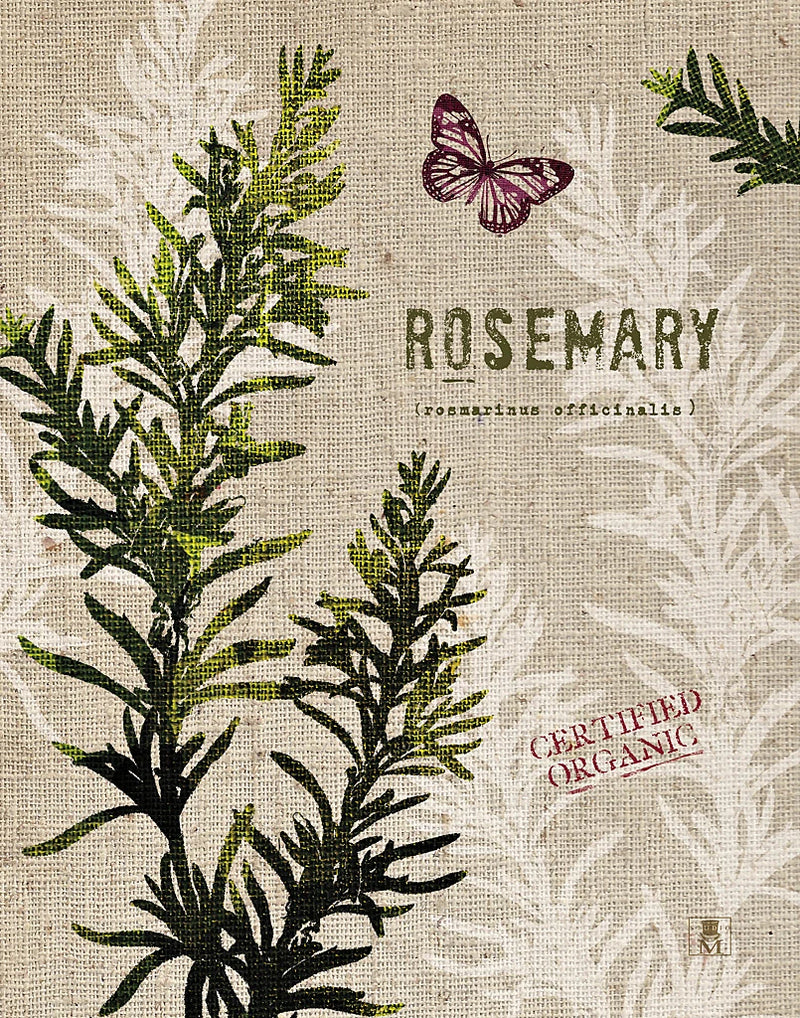Organic Rosemary by Studio Mousseau