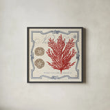 Pacific Sea Fern by Studio Mousseau. Shown in a sleek black glass frame for a contemporary gallery look. Available as an archival giclee rolled canvas, fine art paper, or poster print. SKU 12659a.