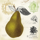 Pear Notes by Studio Mousseau. SKU 10742a. Archival Giclee Fine art print for wall decor.