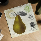 Pear Notes by Studio Mousseau. Shown as a detailed flat fine art print, highlighting archival giclee quality. Available as an archival giclee rolled canvas, fine art paper, or poster print. SKU 10742a.